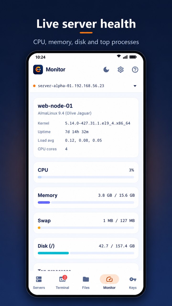 Centra's server monitor in the light theme for a web server, showing CPU, memory, swap and disk usage